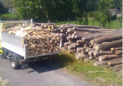 Bois de chauffage 1m livré 10 STERES + 1 GRATUIT